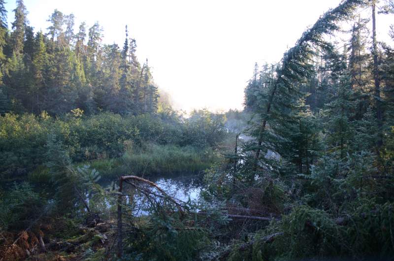 700_4586.jpg - Beyond the first portage