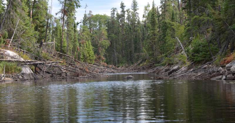 700_4677.jpg - Portage out of Haggart Lake