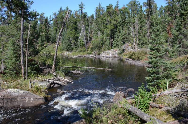 700_4725.jpg - Lunchtime at the falls