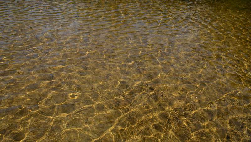 700_4731.jpg - Gold