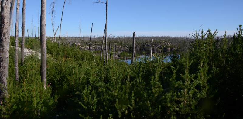 700_4927.jpg - View from the top