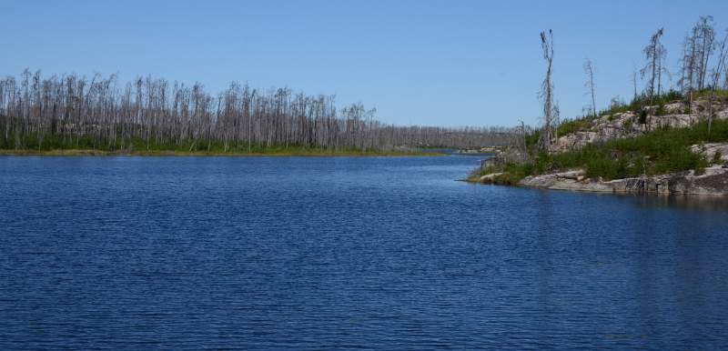 700_4938.jpg - Taking in the scenery