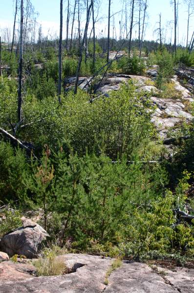 700_4949.jpg - A long but fun portage