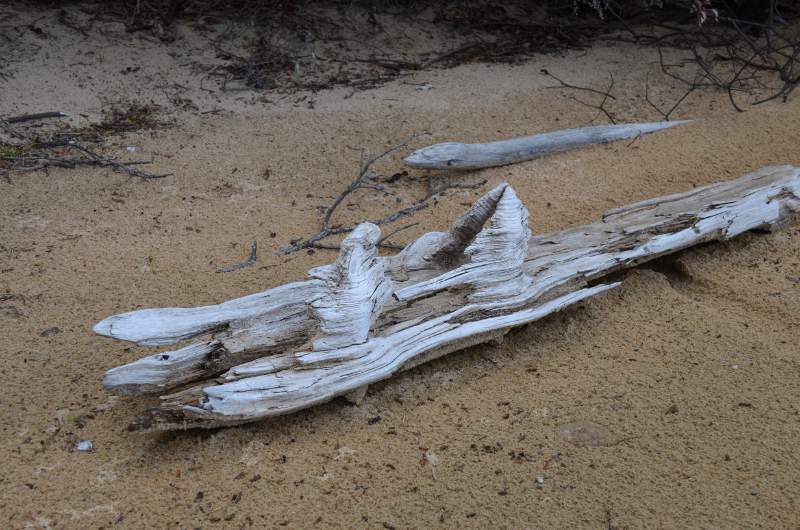 700_5095.jpg - Beach art
