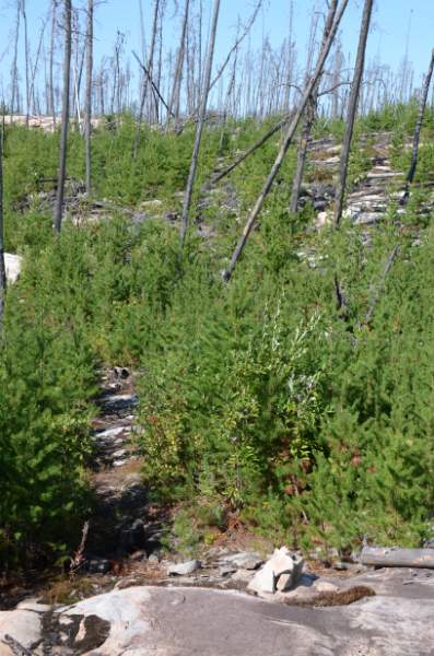 700_5125.jpg - A fun hike