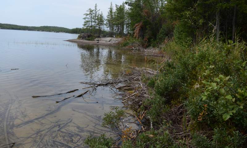 700_5205.jpg - A campsite right off the portage