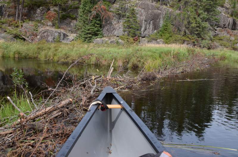 700_5400.jpg - One more beaver dam