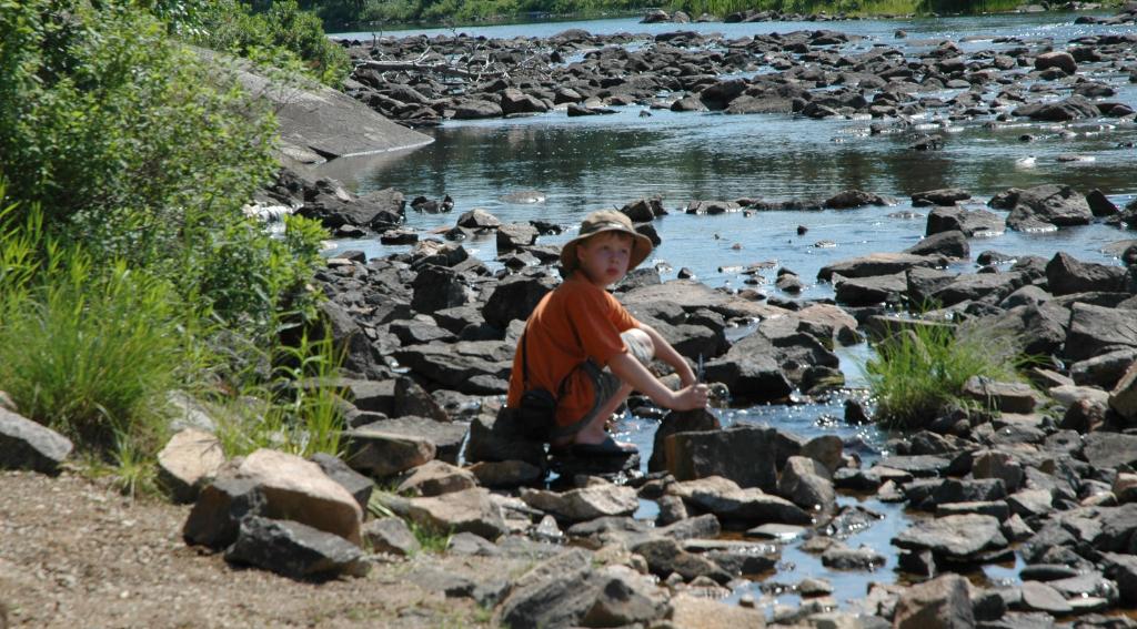 DSC_1902.jpg - The crayfish hunter