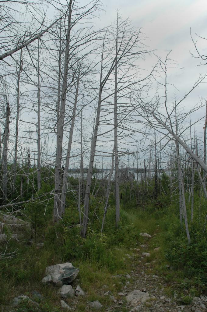 DSC_2027.jpg - Portage to Rog Lake