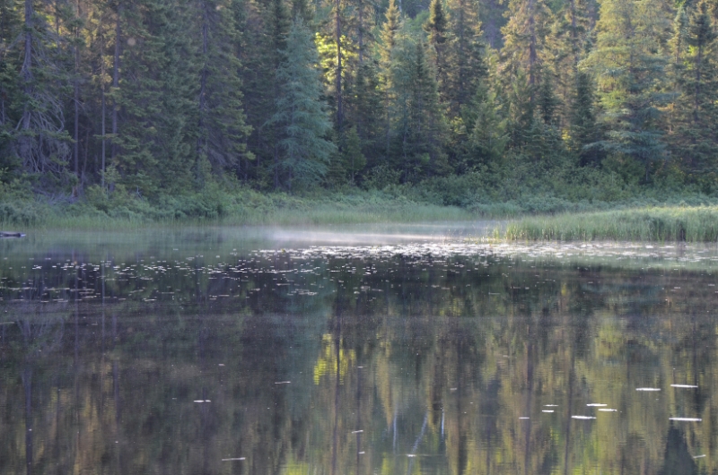 700_2678.jpg - Picture perfect morning