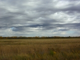 DSCN0951