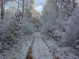 DSCN0985