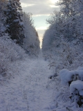 DSCN0991