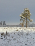 DSCN0997