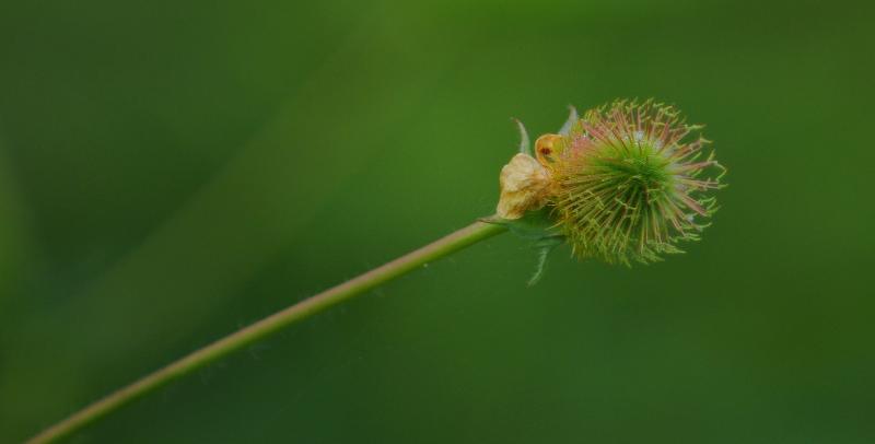 DSC_1289.jpg