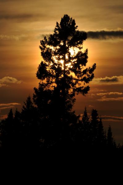 DSC_1339.jpg