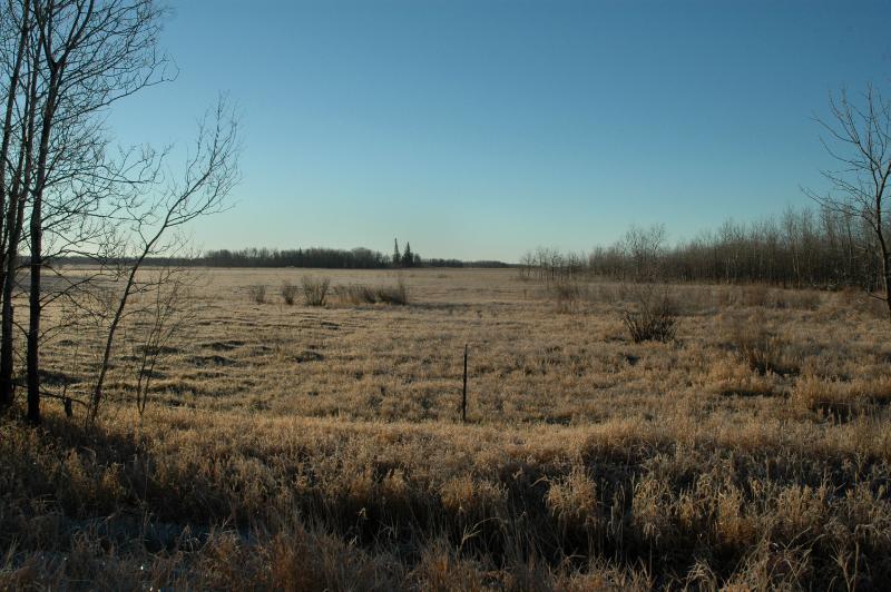 DSC_2513.jpg