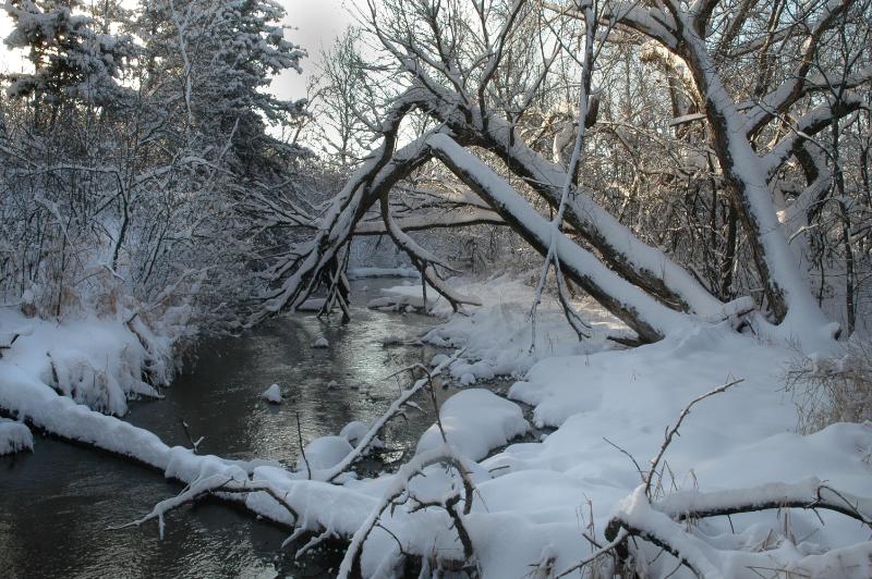 DSC_2618.jpg