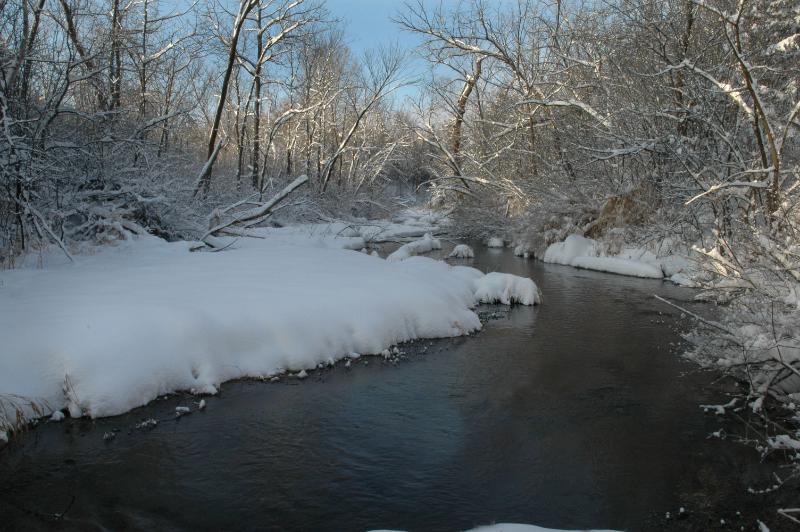 DSC_2626.jpg