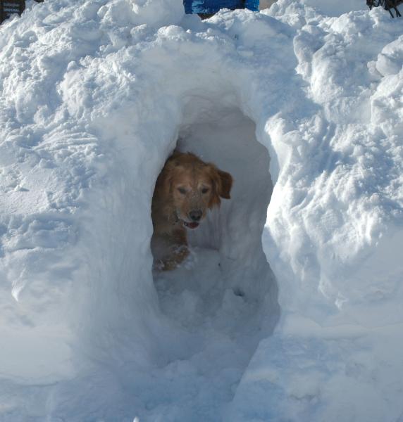 DSC_2698.jpg
