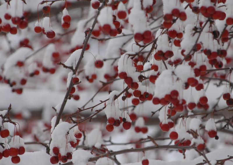 DSC_2727.jpg