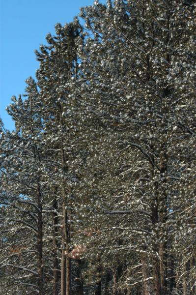 DSC_2798.jpg
