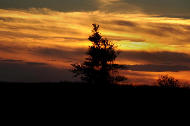 DSC_3565.jpg