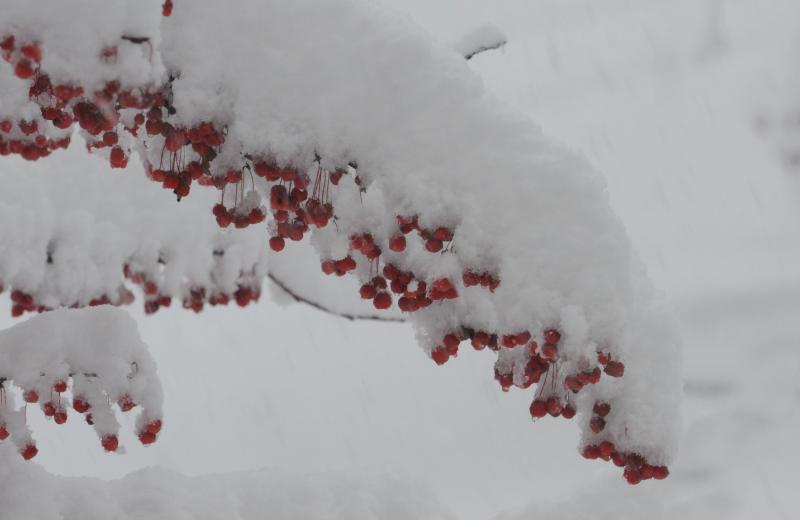 DSC_3698.jpg