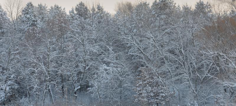 DSC_4012.jpg