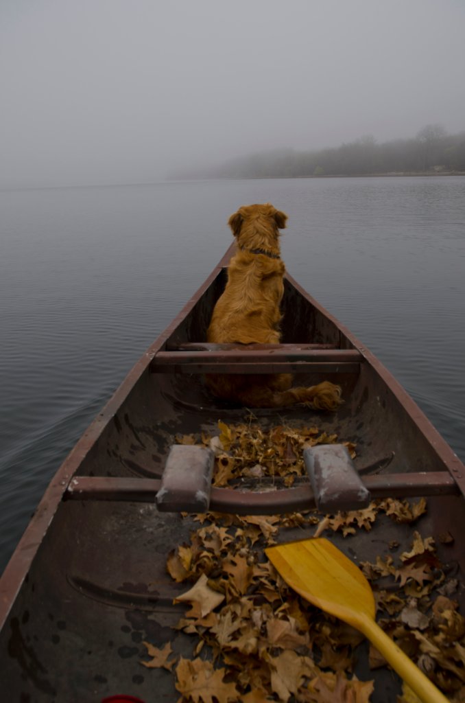 700_4177.jpg - Foggy Spring  Morning Paddle