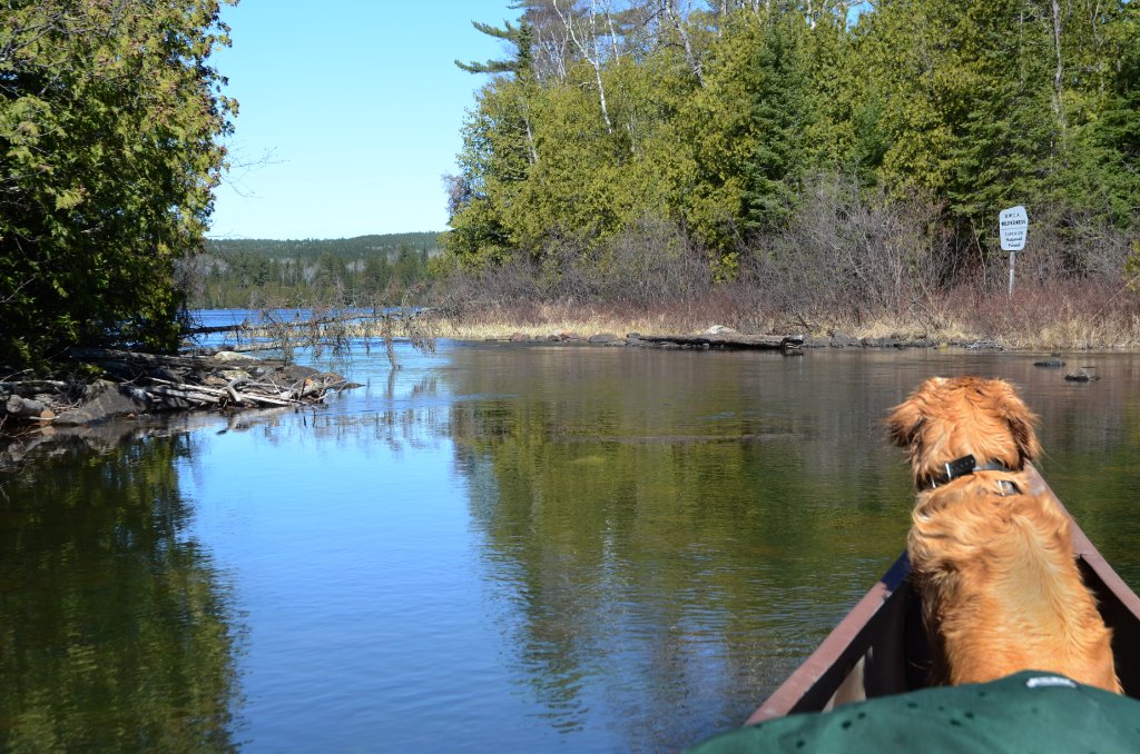 700_4216.jpg - Early Ice out BWCA Trip