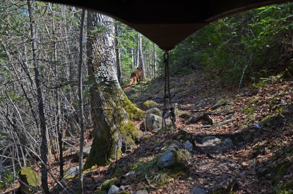 700_4242.jpg - First Portage
