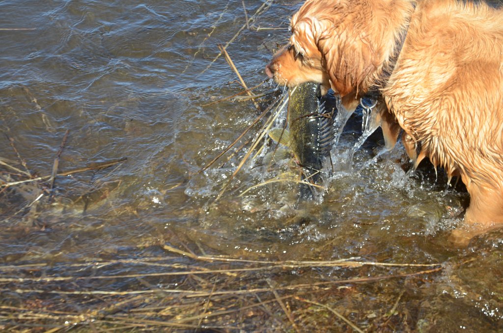 700_4322.jpg - Nice Catch