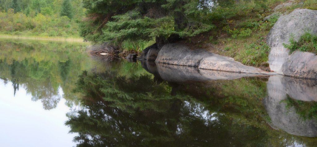 700_5961.jpg - Reflections