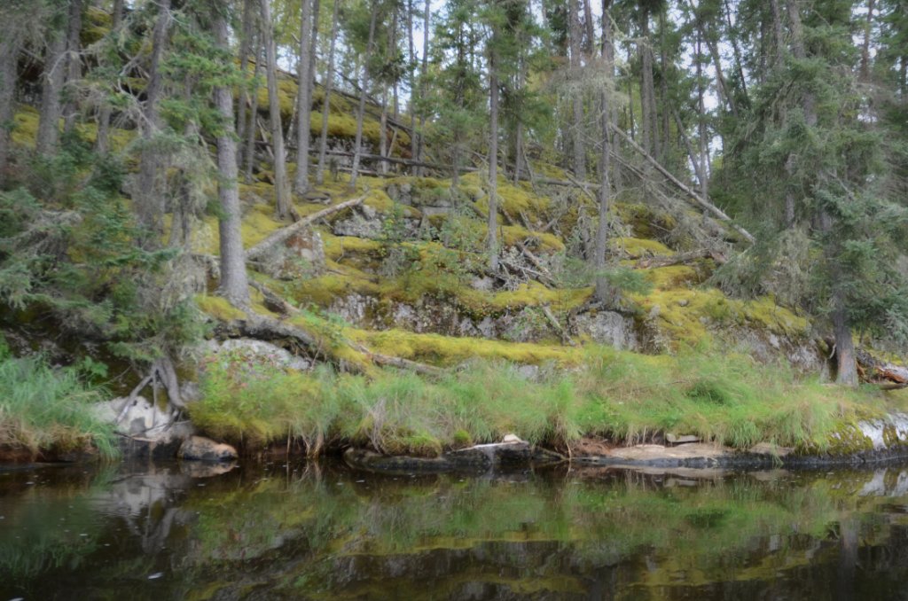 700_5967.jpg - Moss Gardens