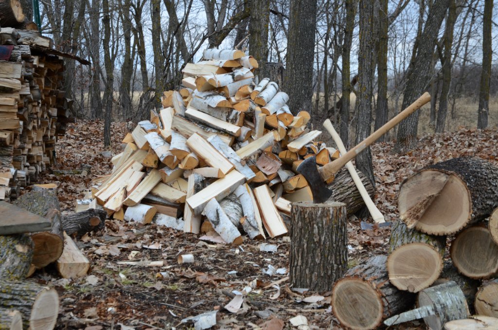 700_6940.jpg - Working the Woodpile