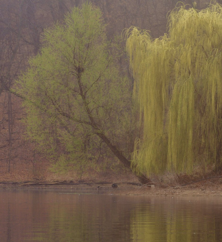 DSC_8628.jpg - Springtime on Prior Lake