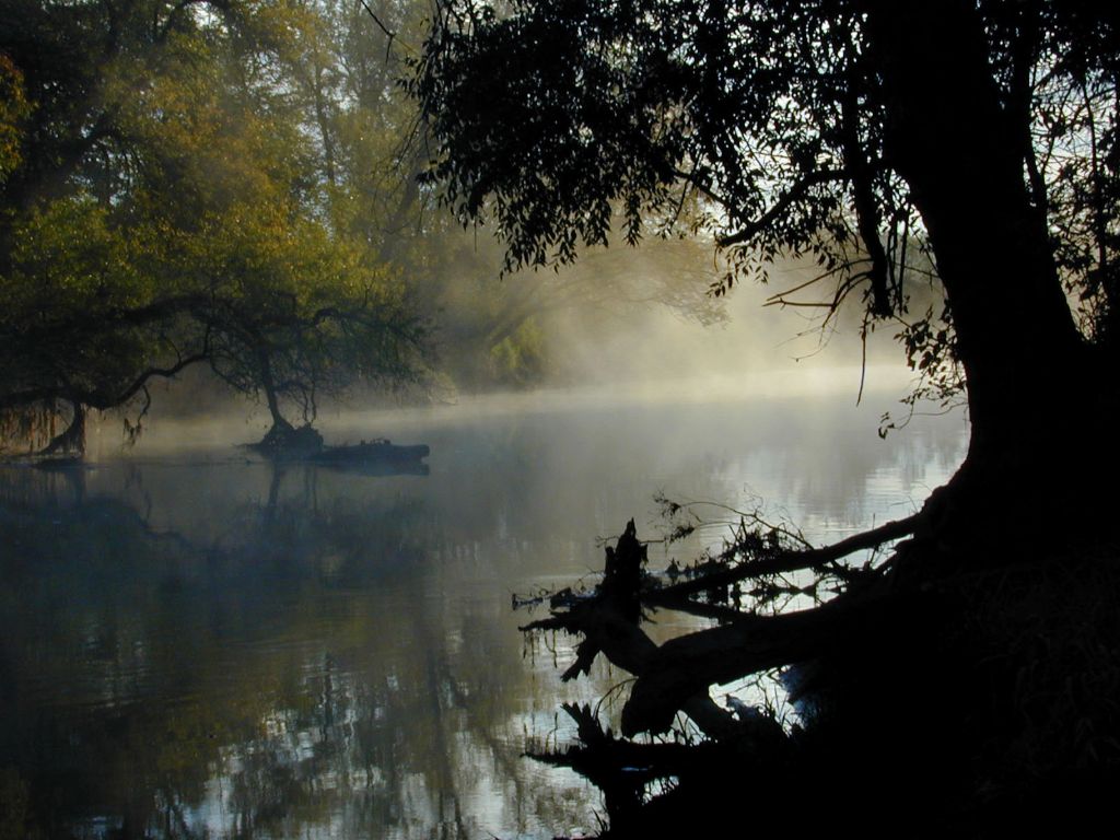 DSCN2351.jpg -           