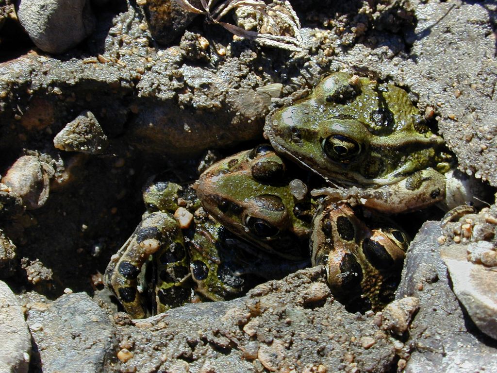 DSCN2642.jpg -           