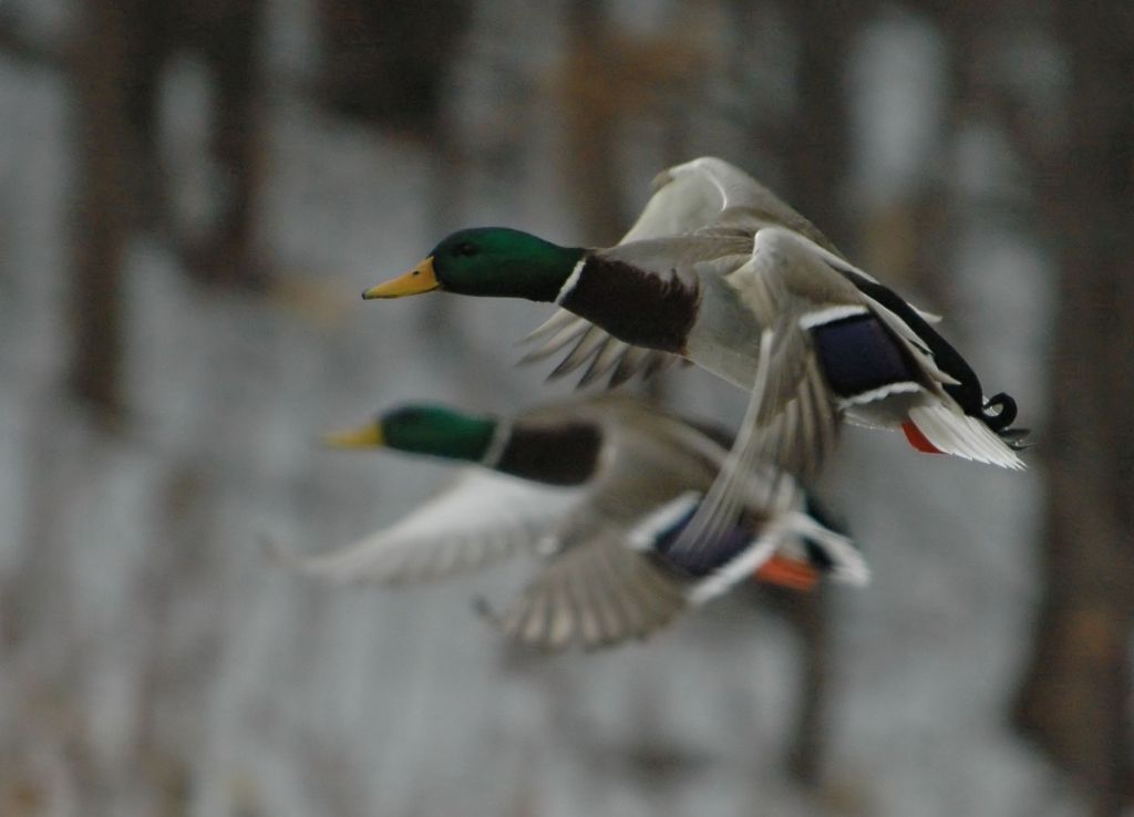 DSC_0190.jpg