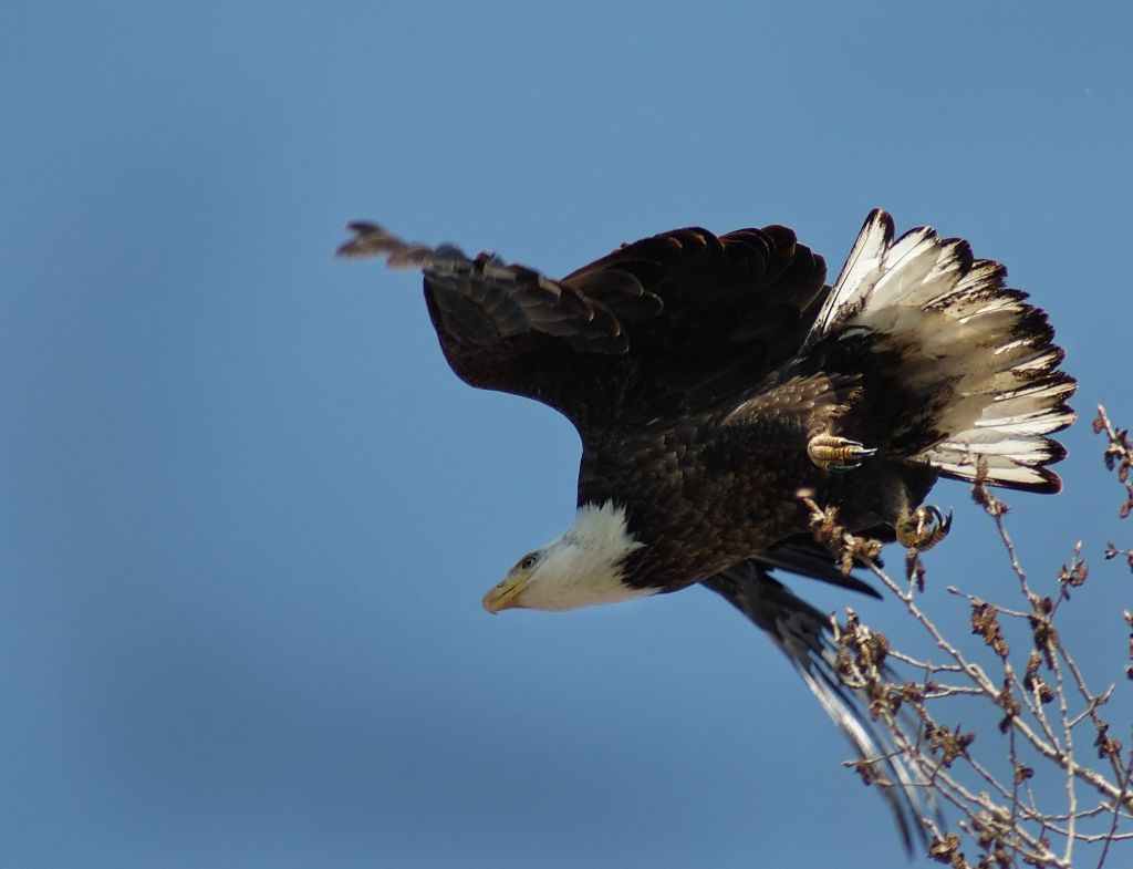 DSC_0323.jpg