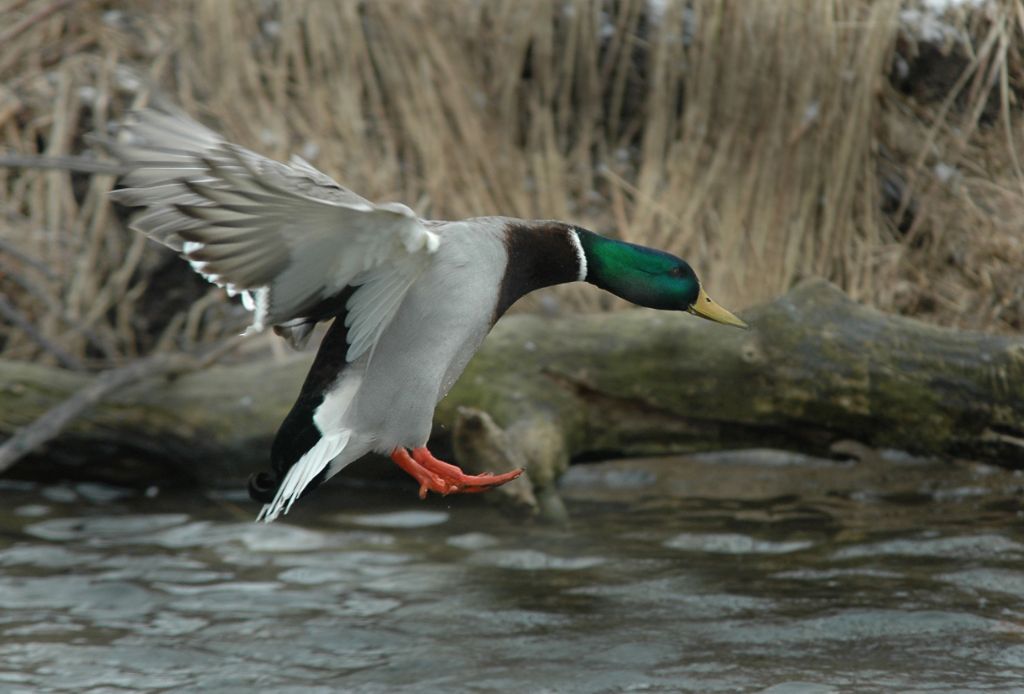 DSC_0824.jpg