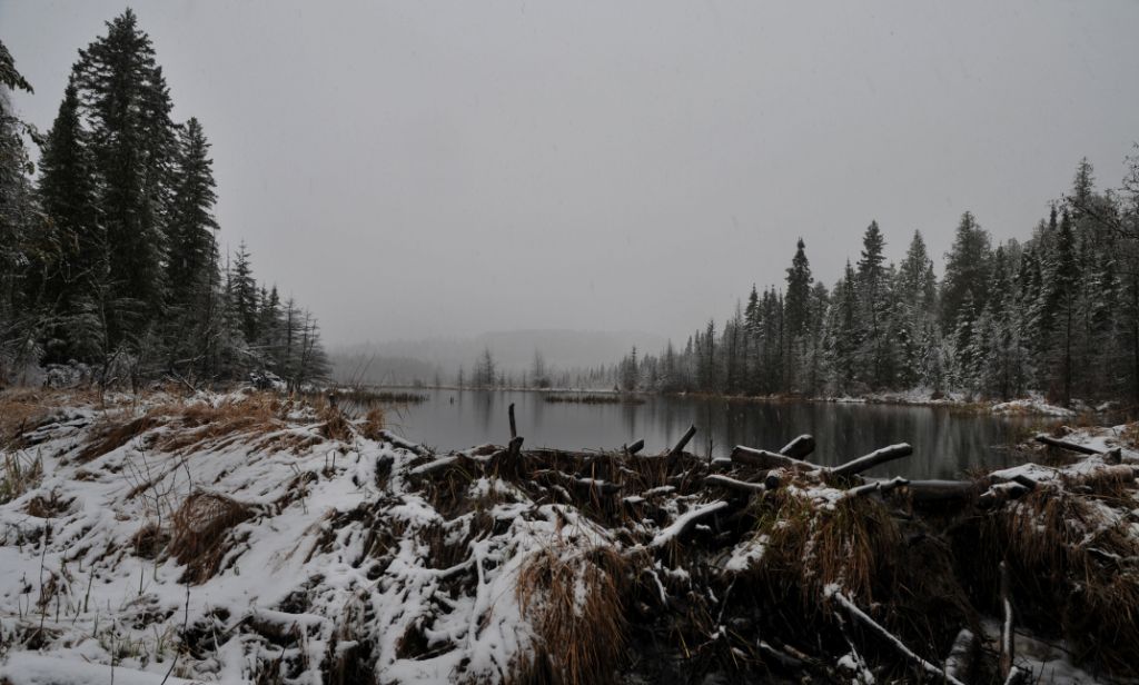 DSC_1161.jpg