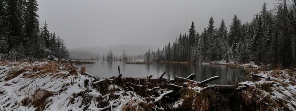 DSC_1169.jpg