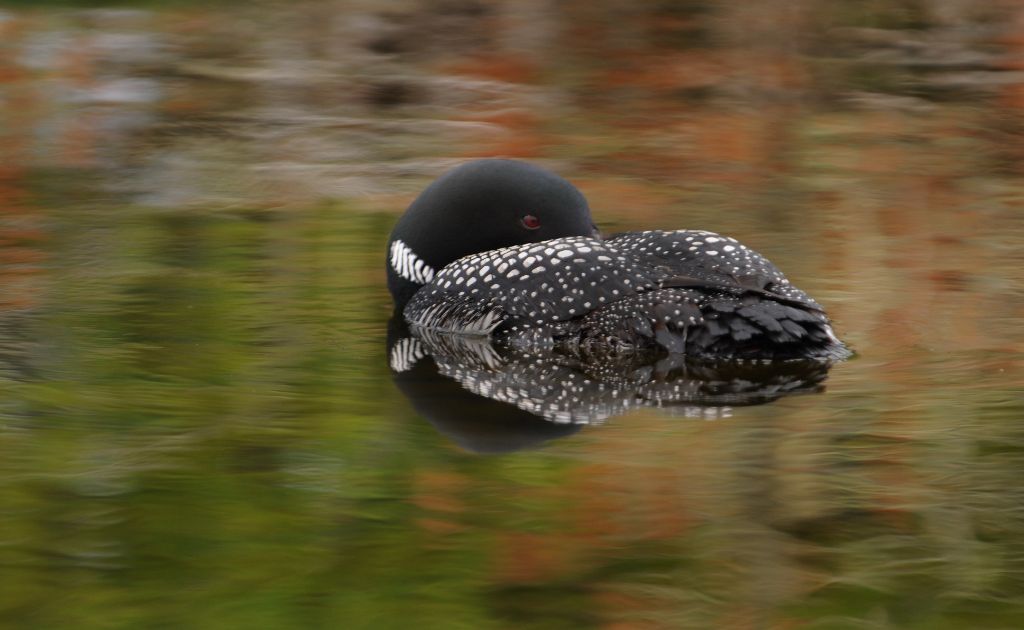 DSC_1224.jpg