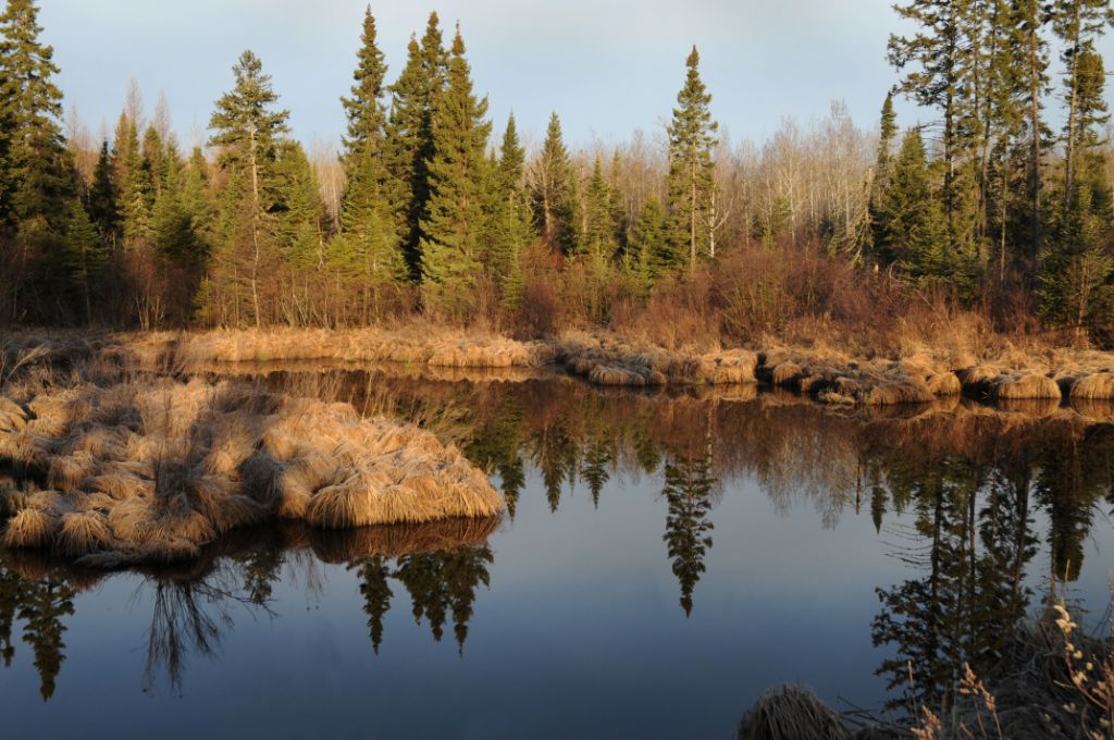 DSC_1282.jpg