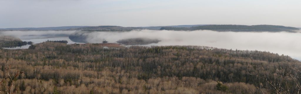 DSC_1295.jpg