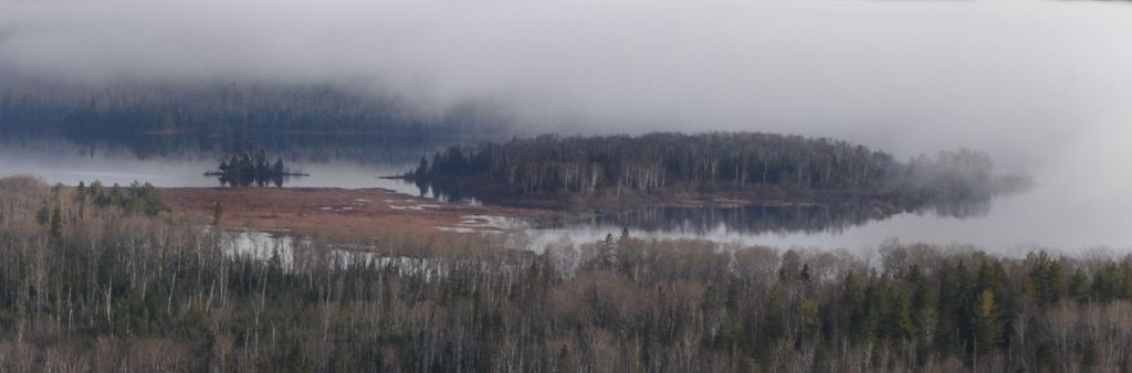 DSC_1308.jpg