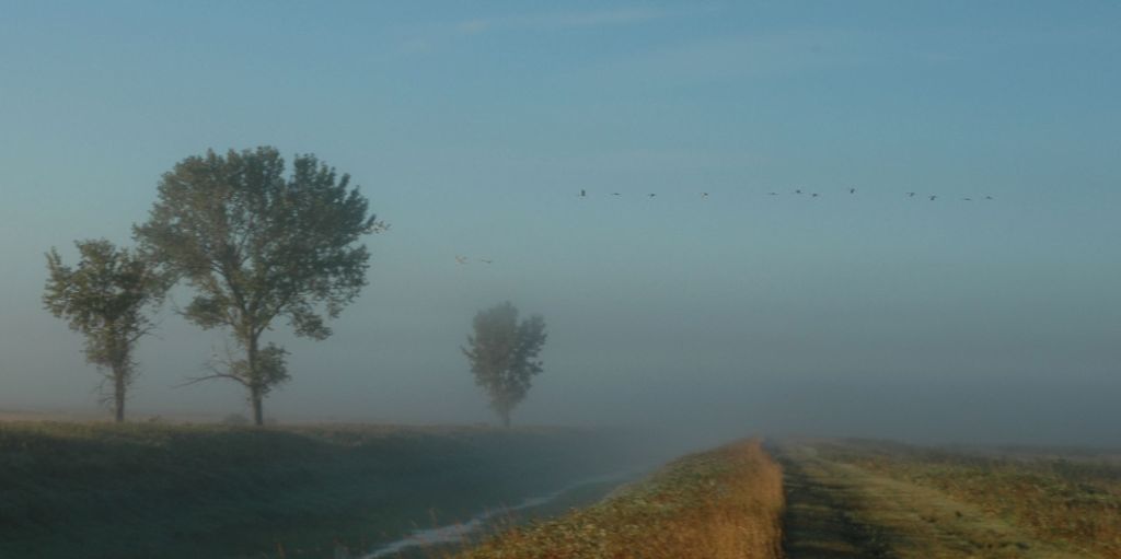 DSC_2122.jpg