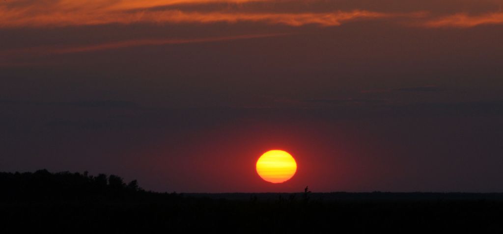 DSC_2202.jpg